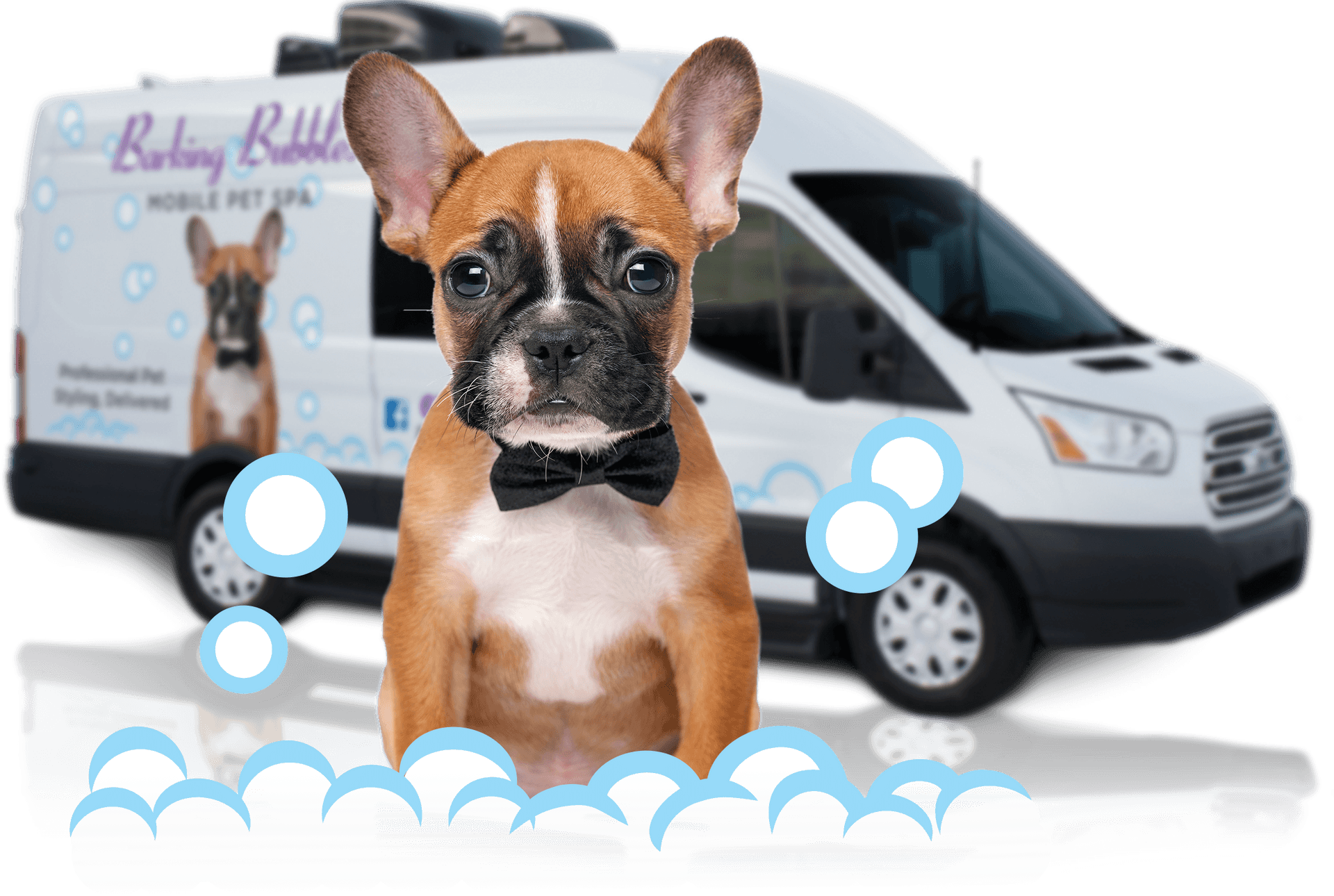 Puppy Mobile Pet Spa PNG
