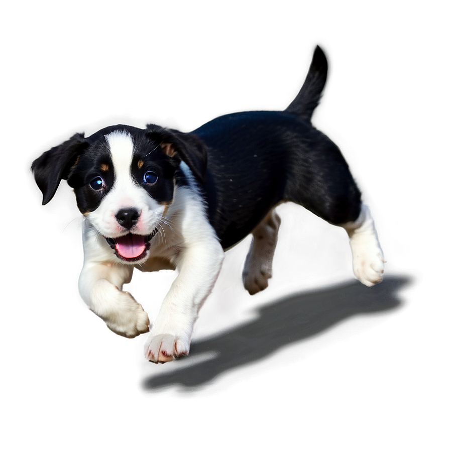 Puppy Running Png 06132024 PNG