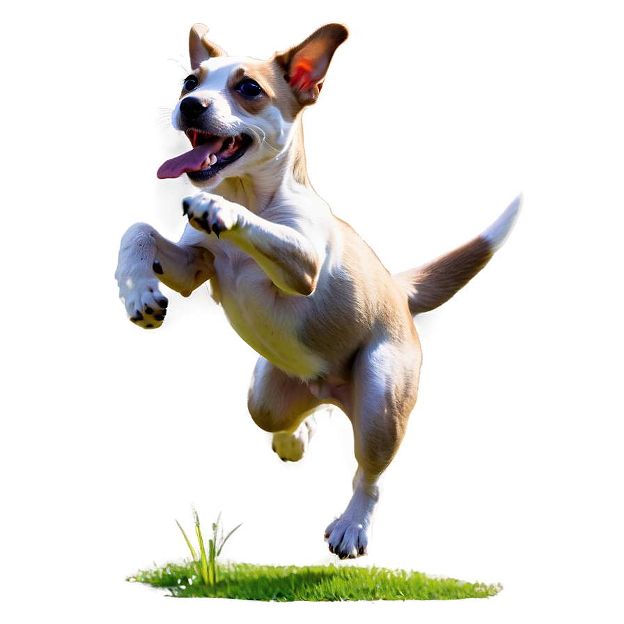 Puppy Running Png 06132024 PNG