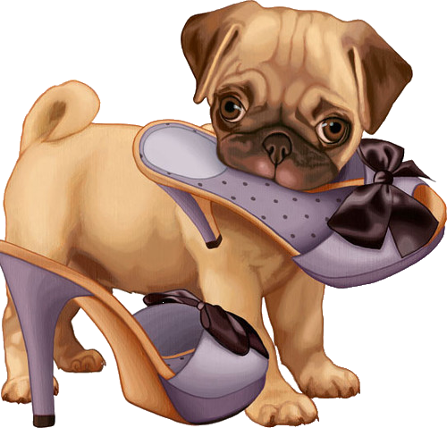 Puppy With Shoe Illustration PNG