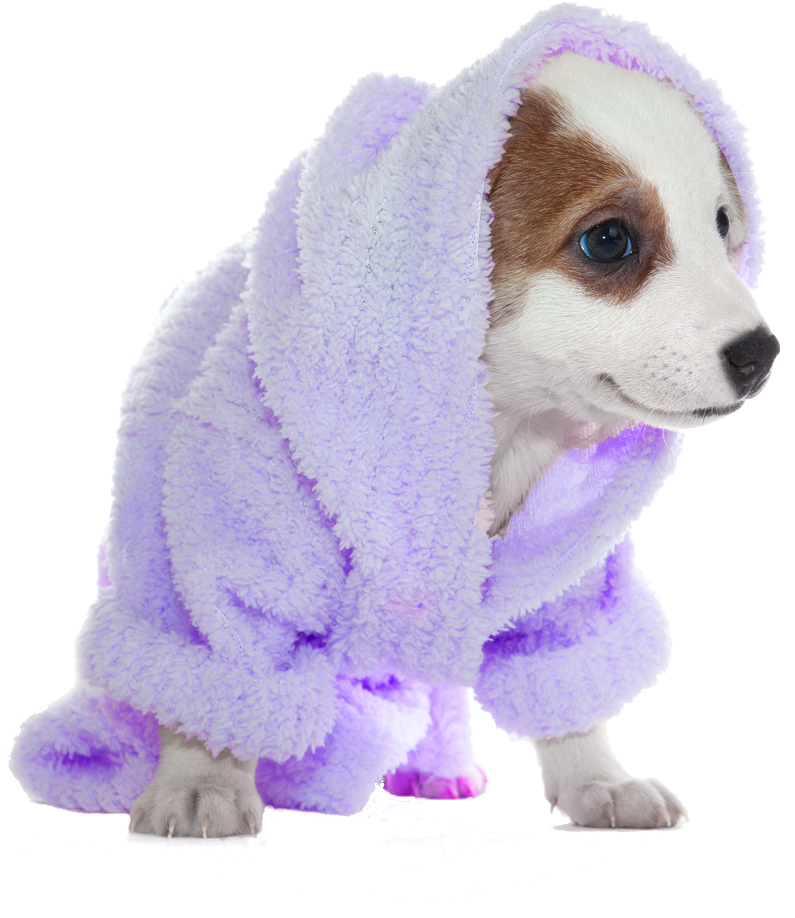 Puppyin Purple Bathrobe PNG