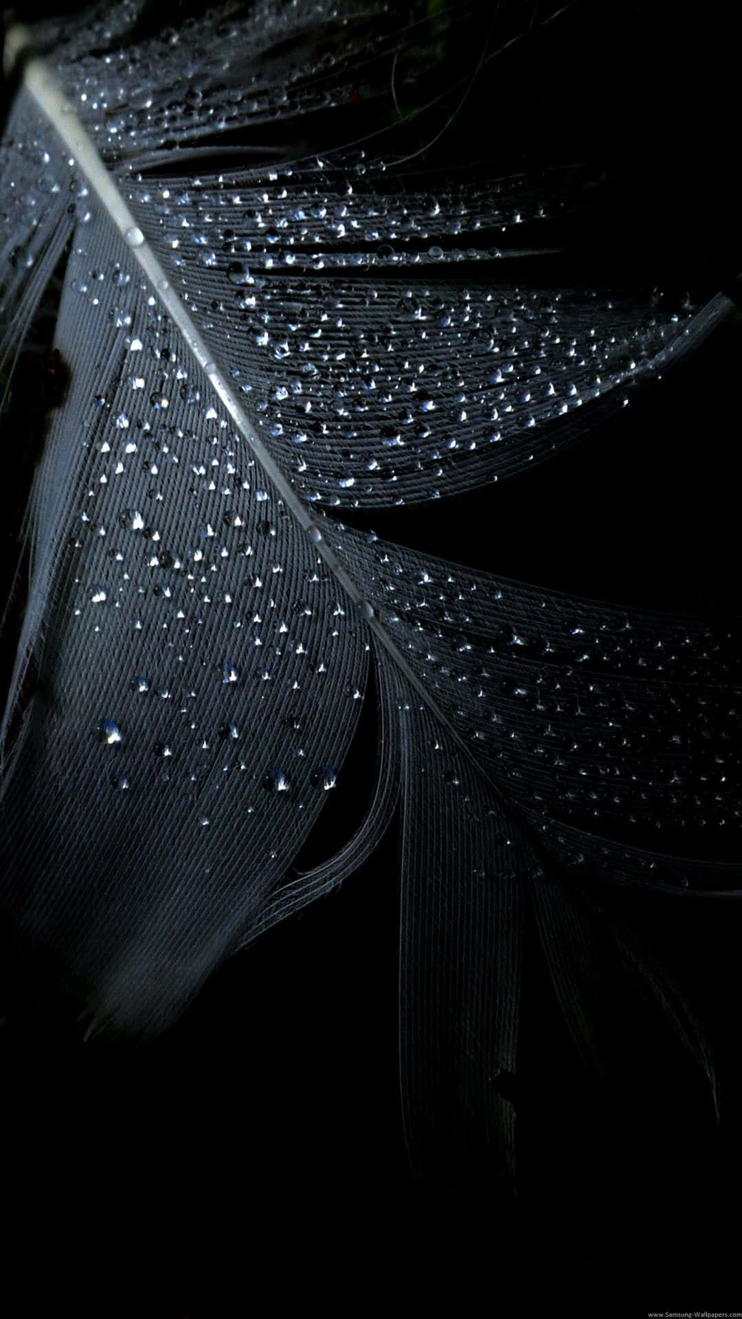 Pure Black Oled Water Droplets Wallpaper