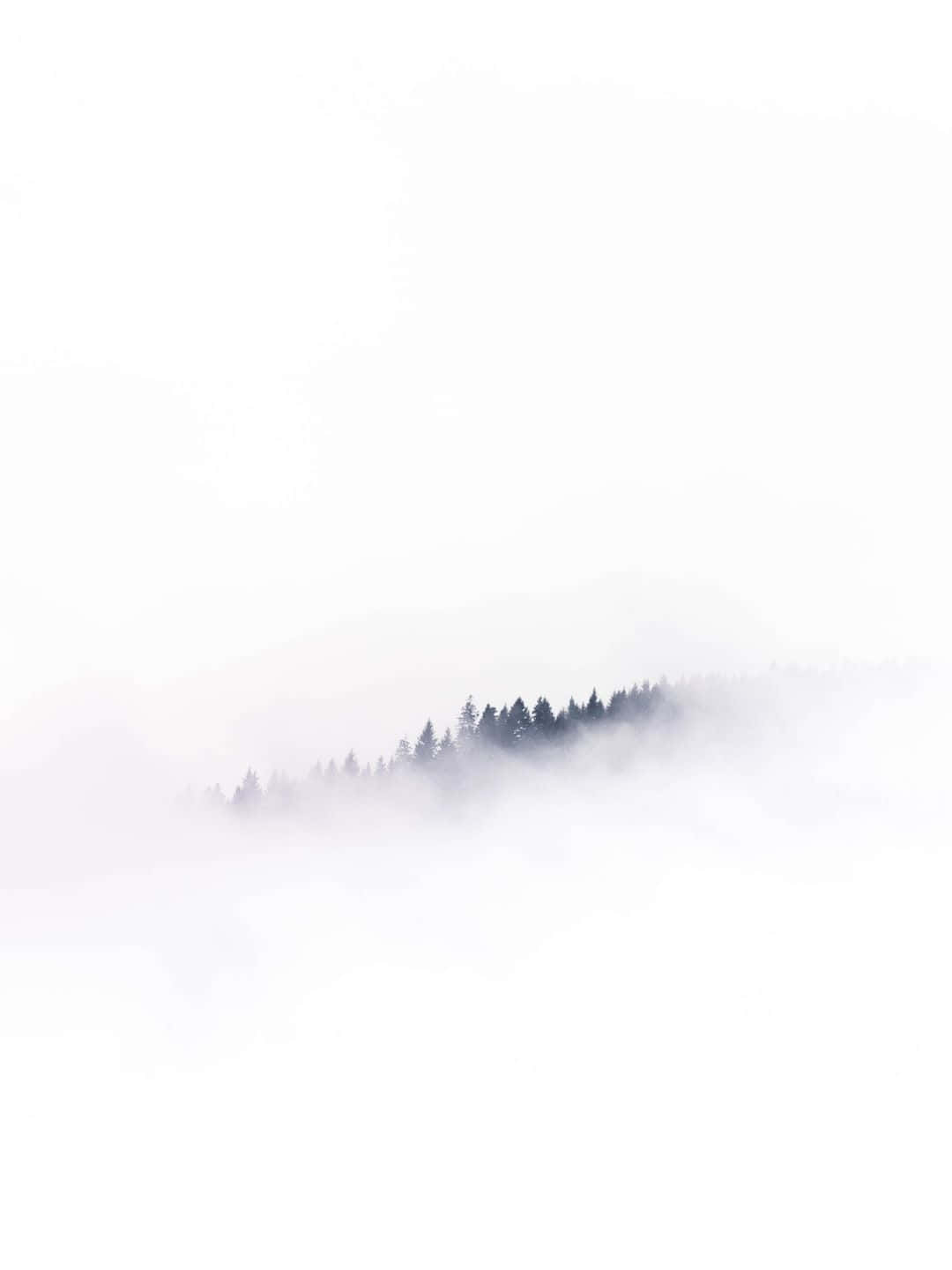 A White Background With A Fog Covering The Trees