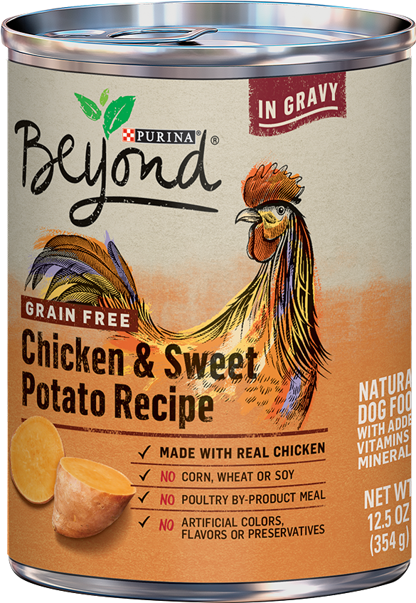 Purina Beyond Grain Free Chicken Sweet Potato Dog Food Can PNG