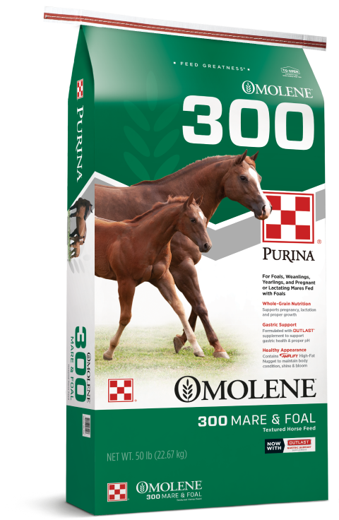 Purina Molene300 Mareand Foal Horse Feed Bag PNG
