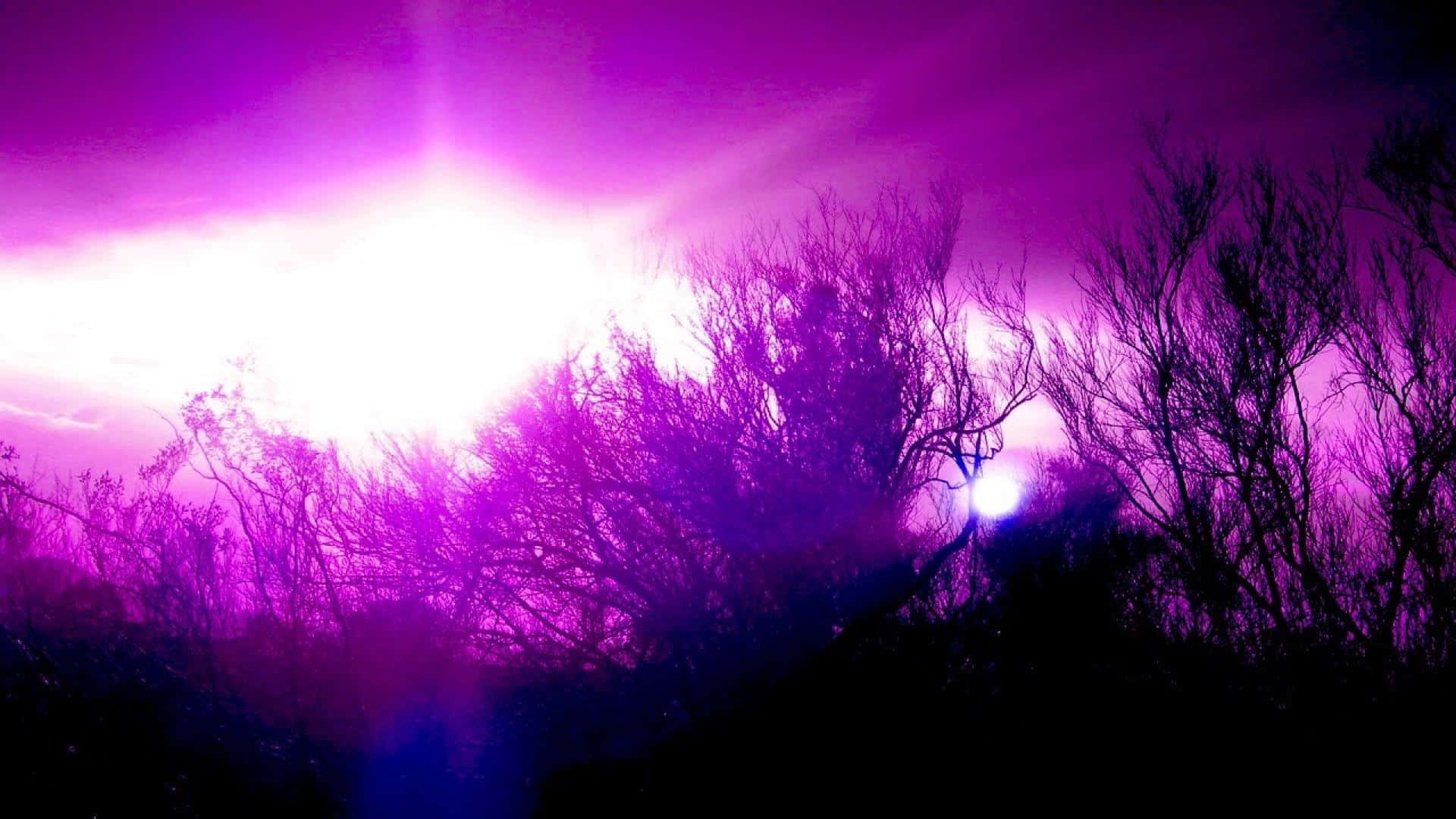 Purple Abstract Trees Blurry Wallpaper