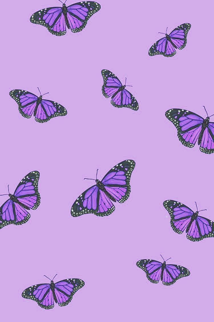 Purple Aesthetic Iphone Theme With Butterflies Wallpaper