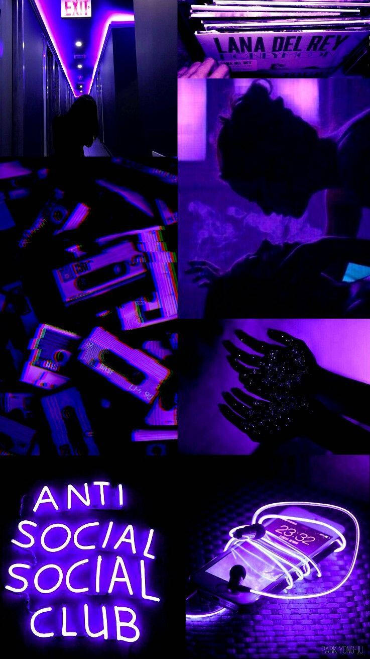 Purple Aesthetic Phone Anti Social Social Club Wallpaper