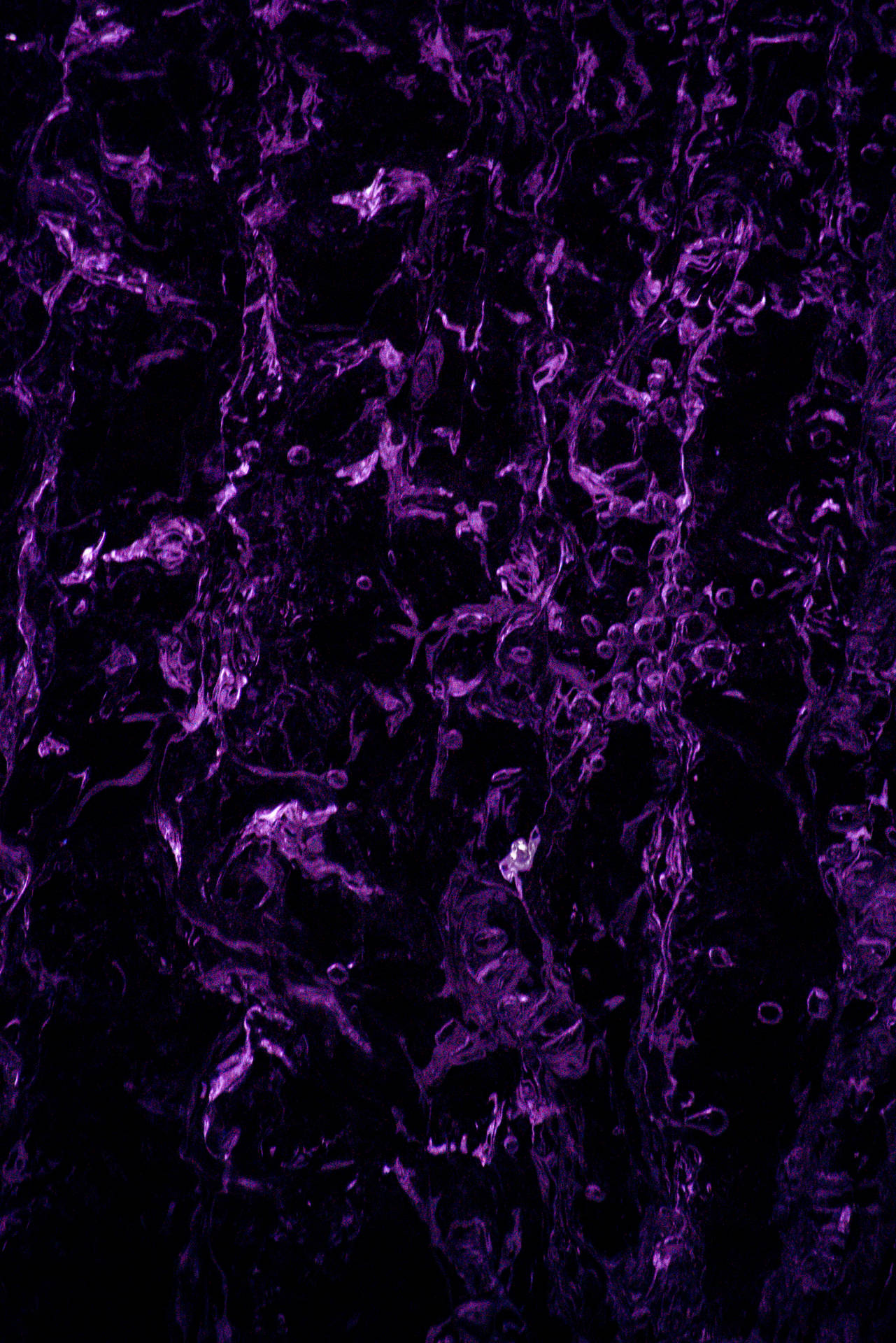 Purple Aesthetic Phone Dark Wallpaper
