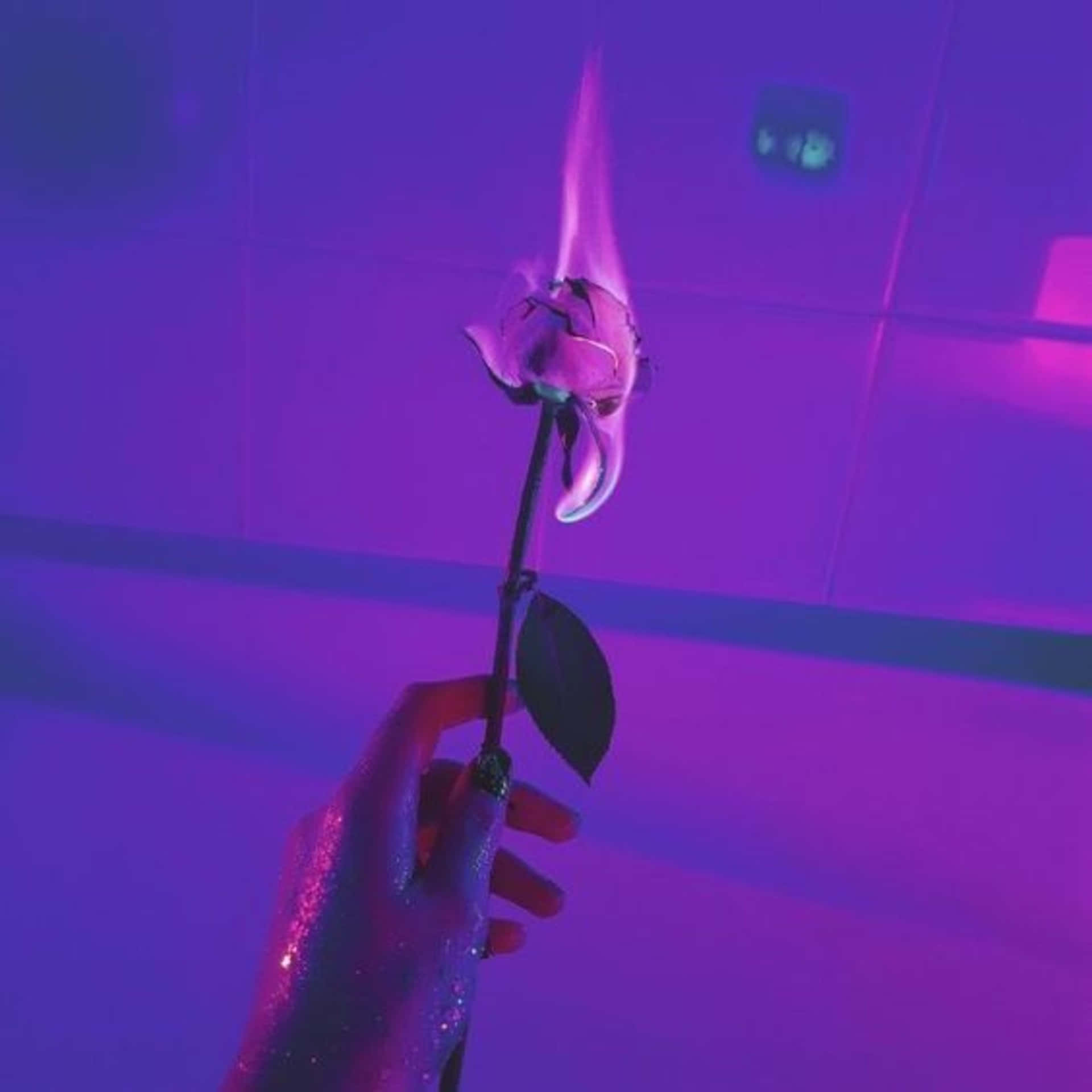 Purple Aesthetic Hand Holding Flaming Rose Picture
