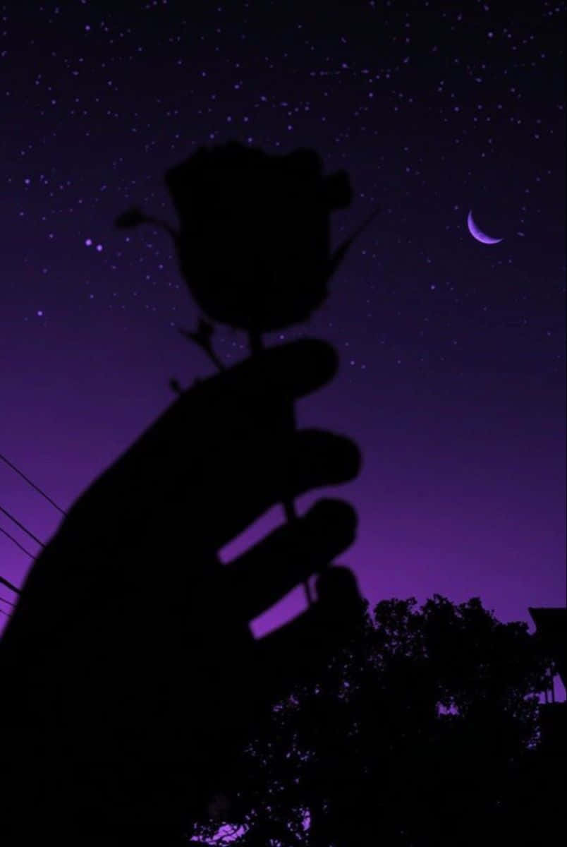 Lilaästhetische Silhouette Hand, Die Ein Bild Des Nachthimmels Mit Einer Rose Hält