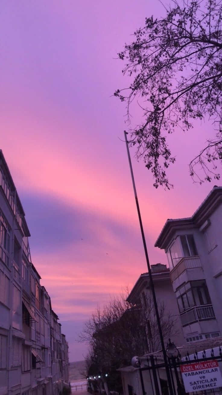 Download Purple Aesthetic Sky Above Neighborhood Picture | Wallpapers.com