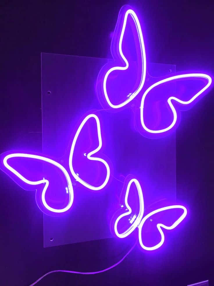 Bildmit Lila Ästhetischen Neonlicht Schmetterlingen
