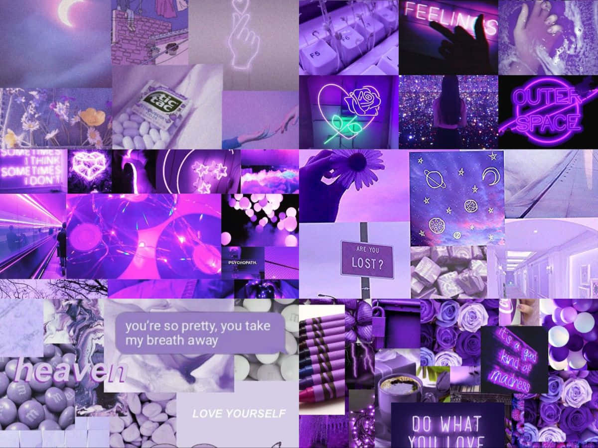 A Collage Of Purple Pictures With A Lot Of Lights Wallpaper