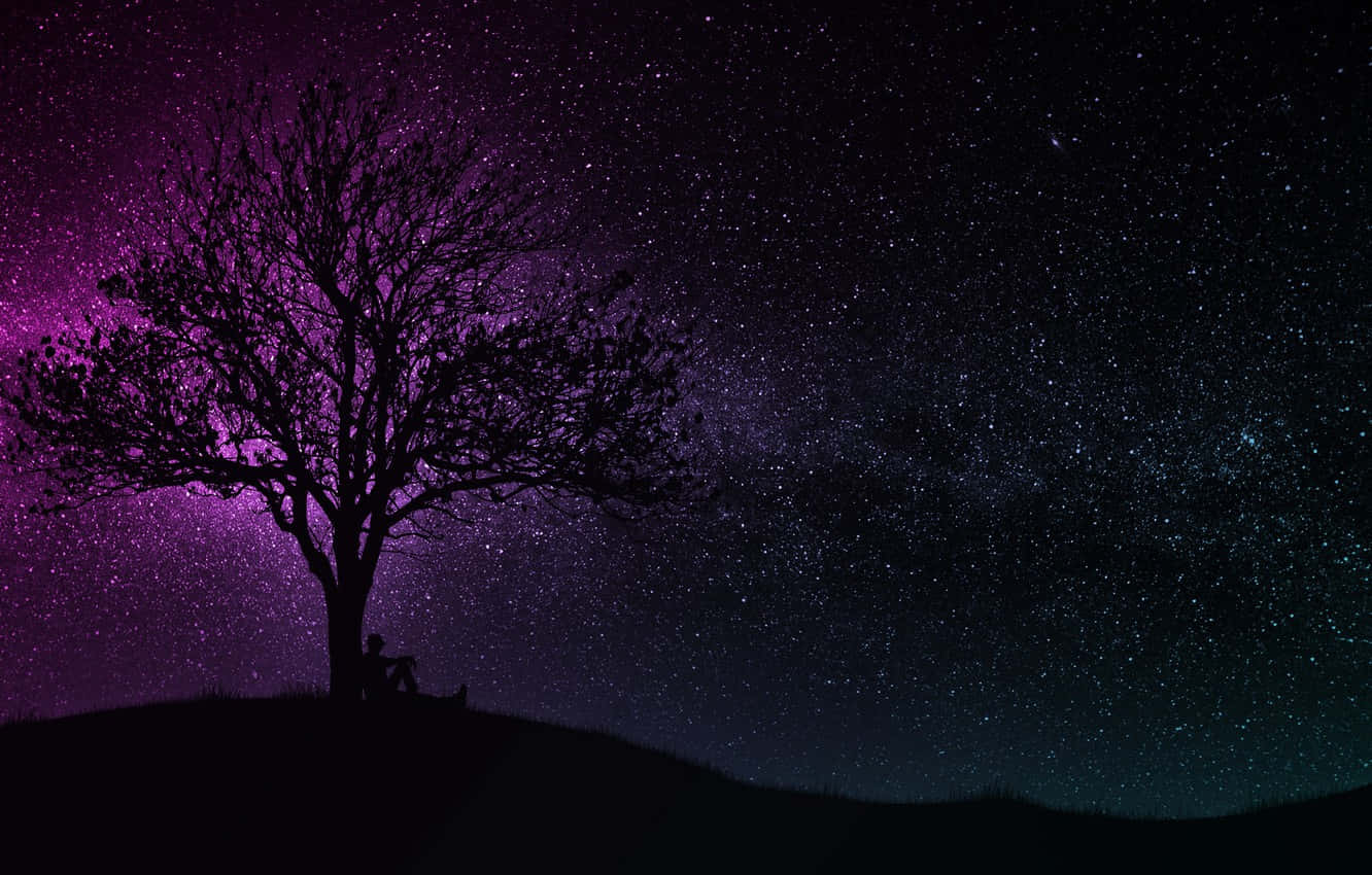 Purple And Black Tree Background