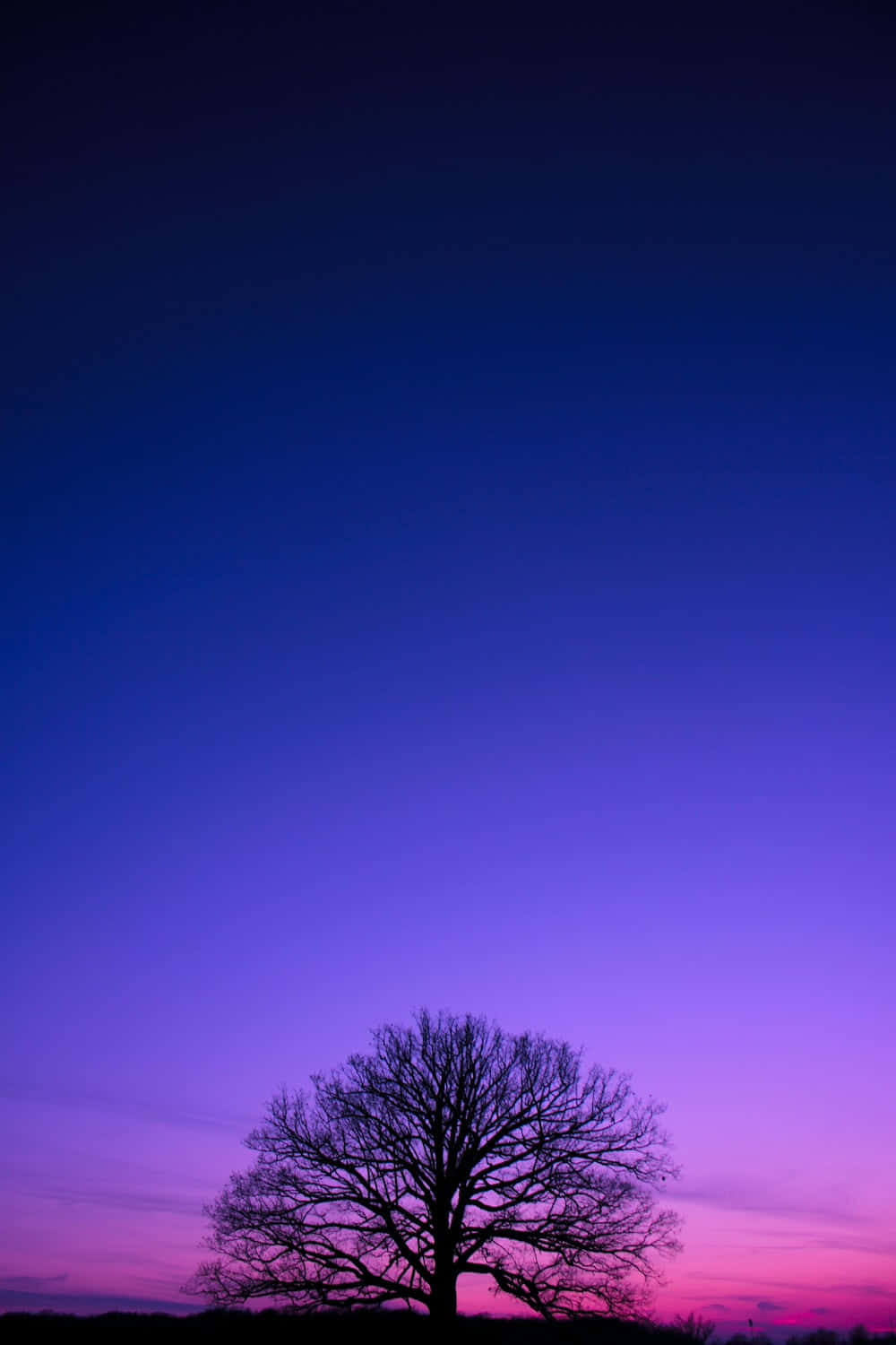 Vibrant Purple and Blue Background