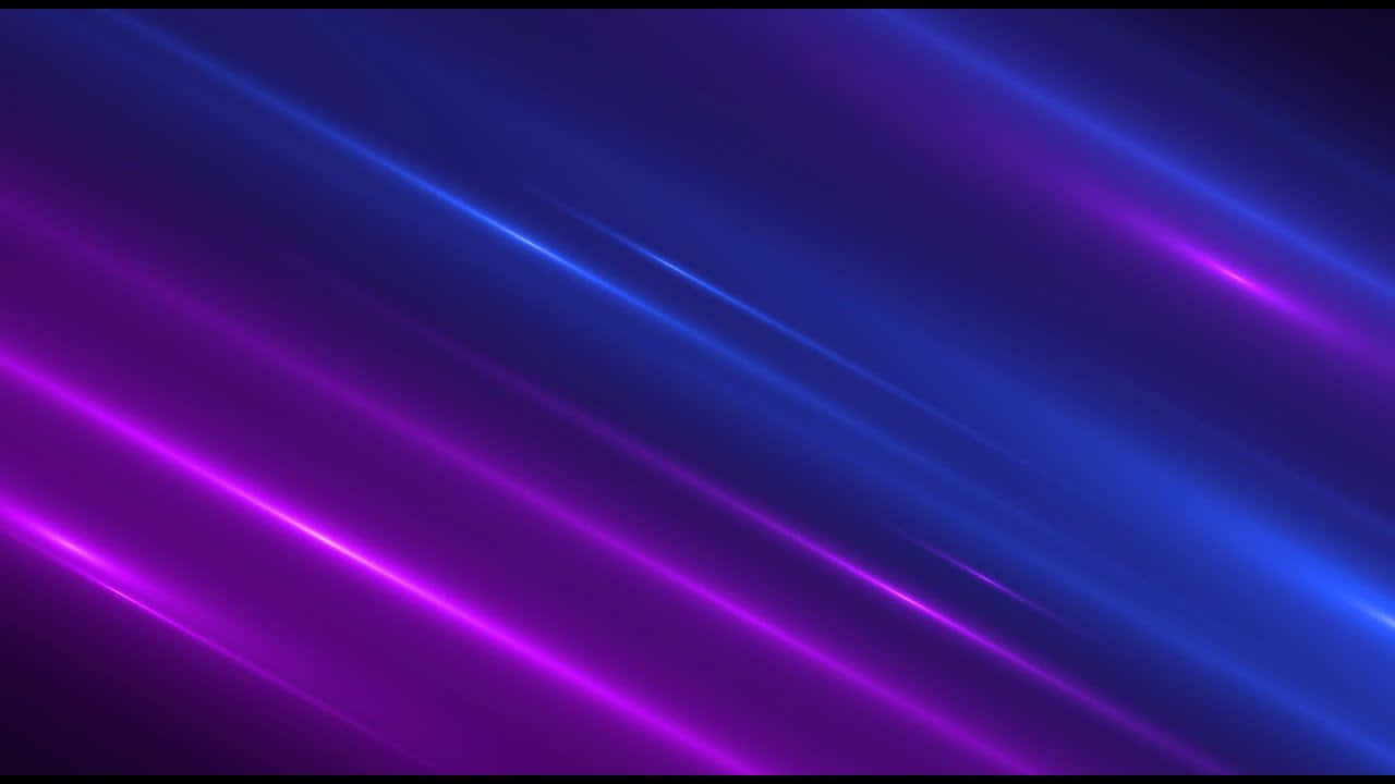 Vibrant Display of Purple and Blue