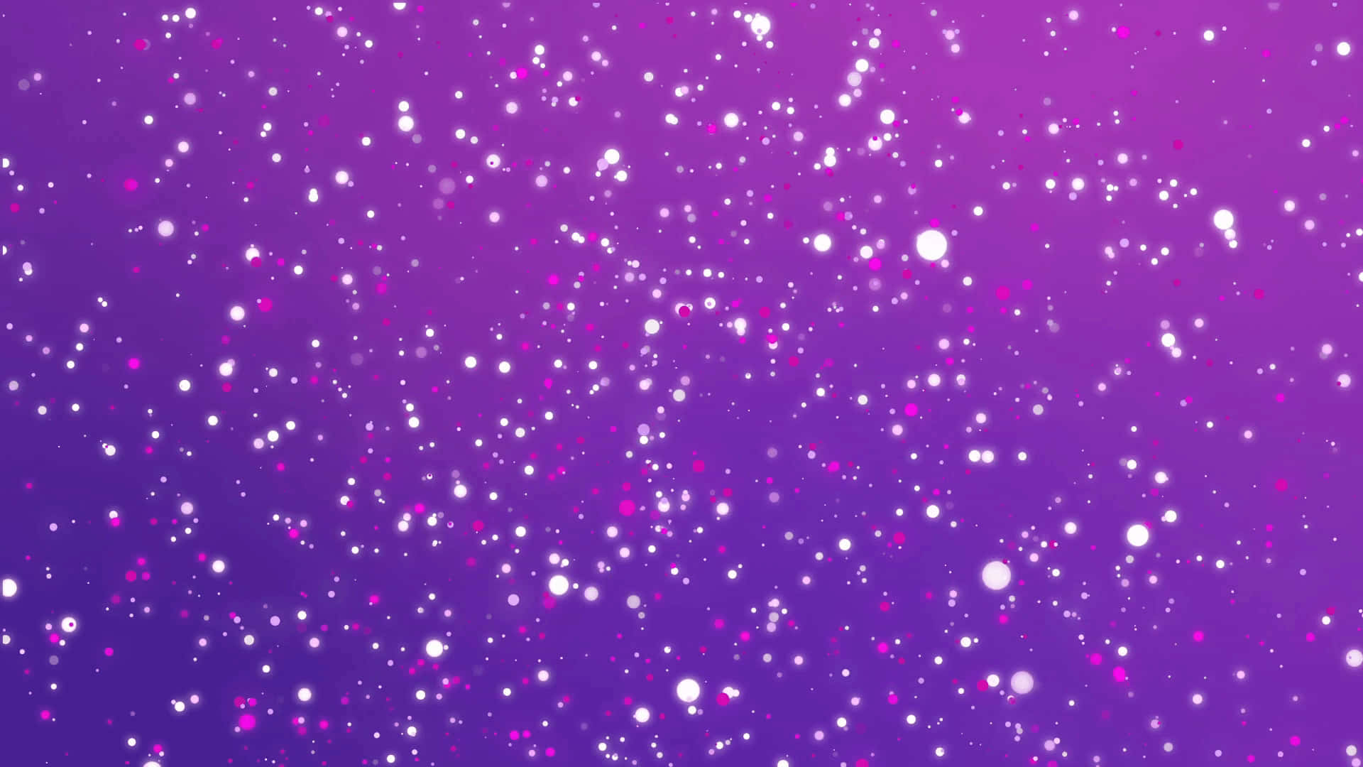 Vibrant Purple and Pink Colors Create a Beautiful Background
