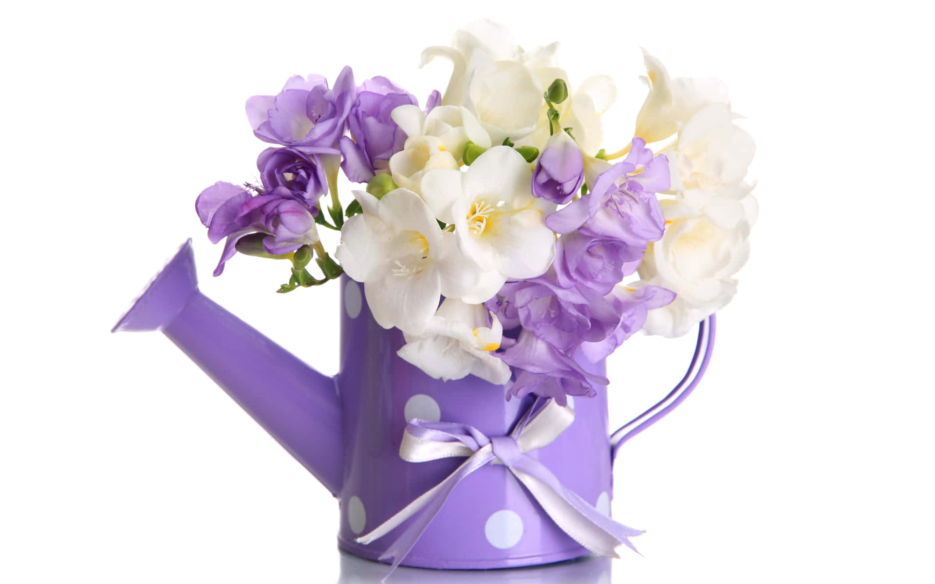 Purple Watering Can With White Flowers