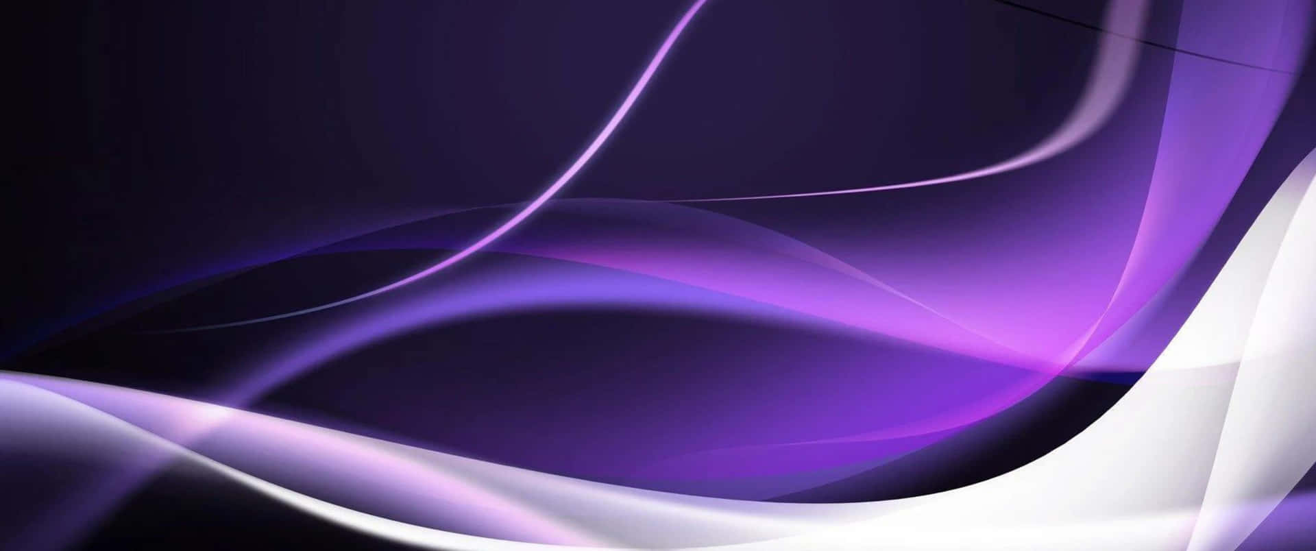 purple white background