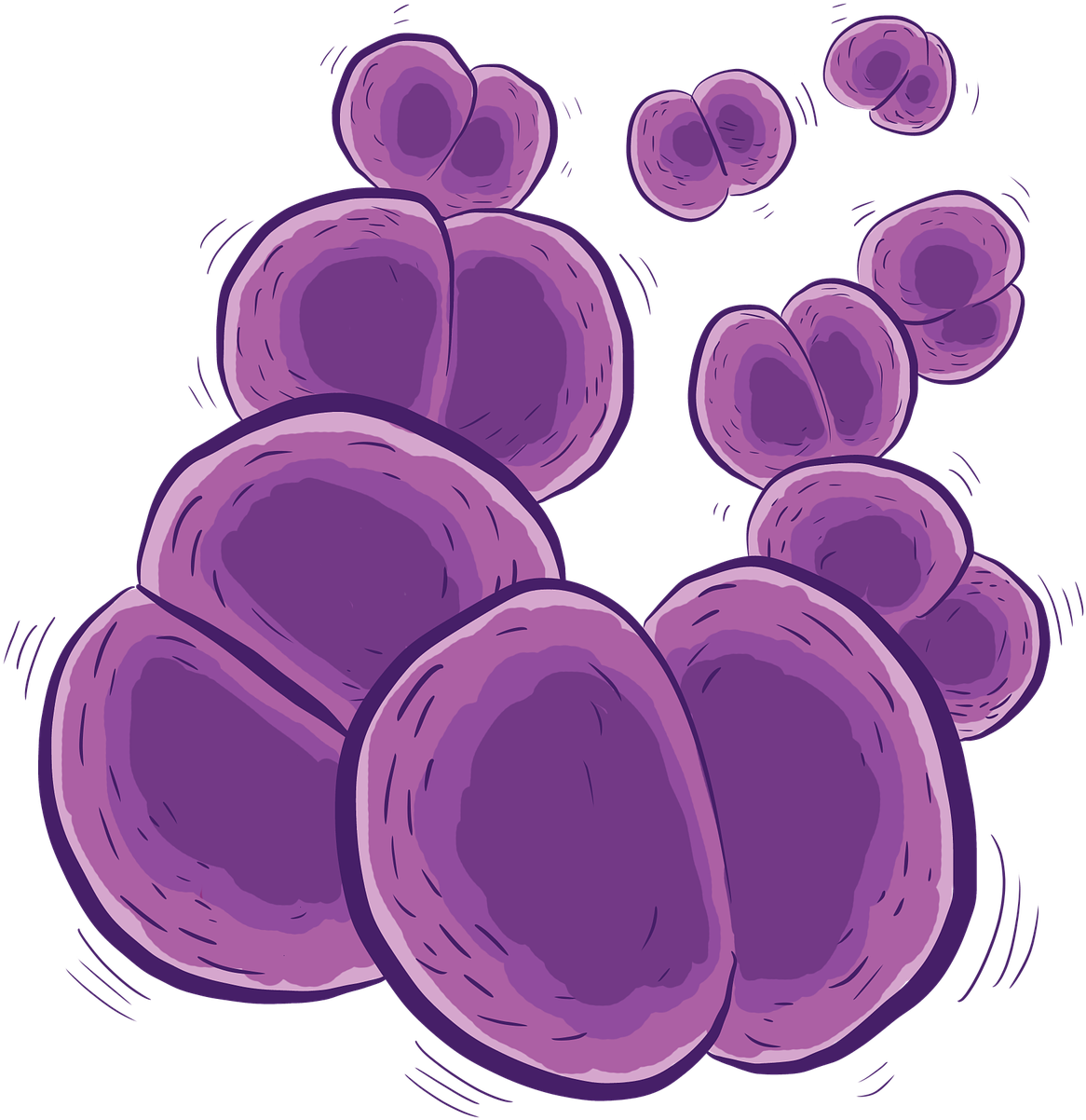 Purple Bacteria Cluster Illustration PNG
