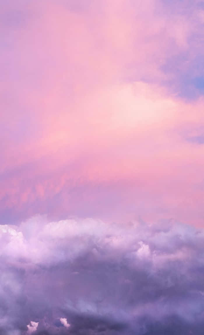 Soft, Feminine and Peaceful - A Vibrant Purple Blush Wallpaper