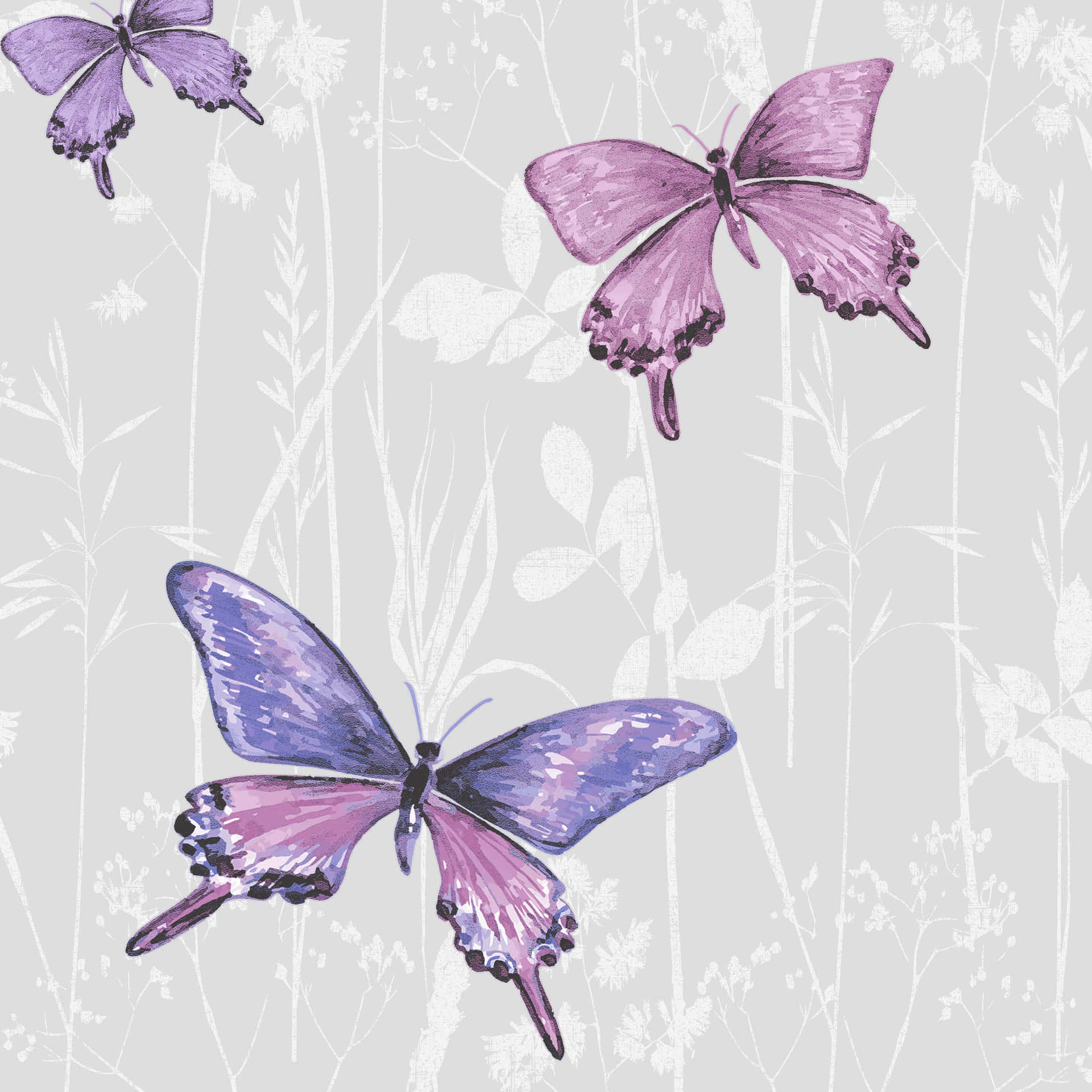 Motif De Papillons Violets Fond d'écran