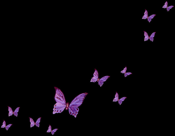 Purple Butterflies Transparent Background PNG