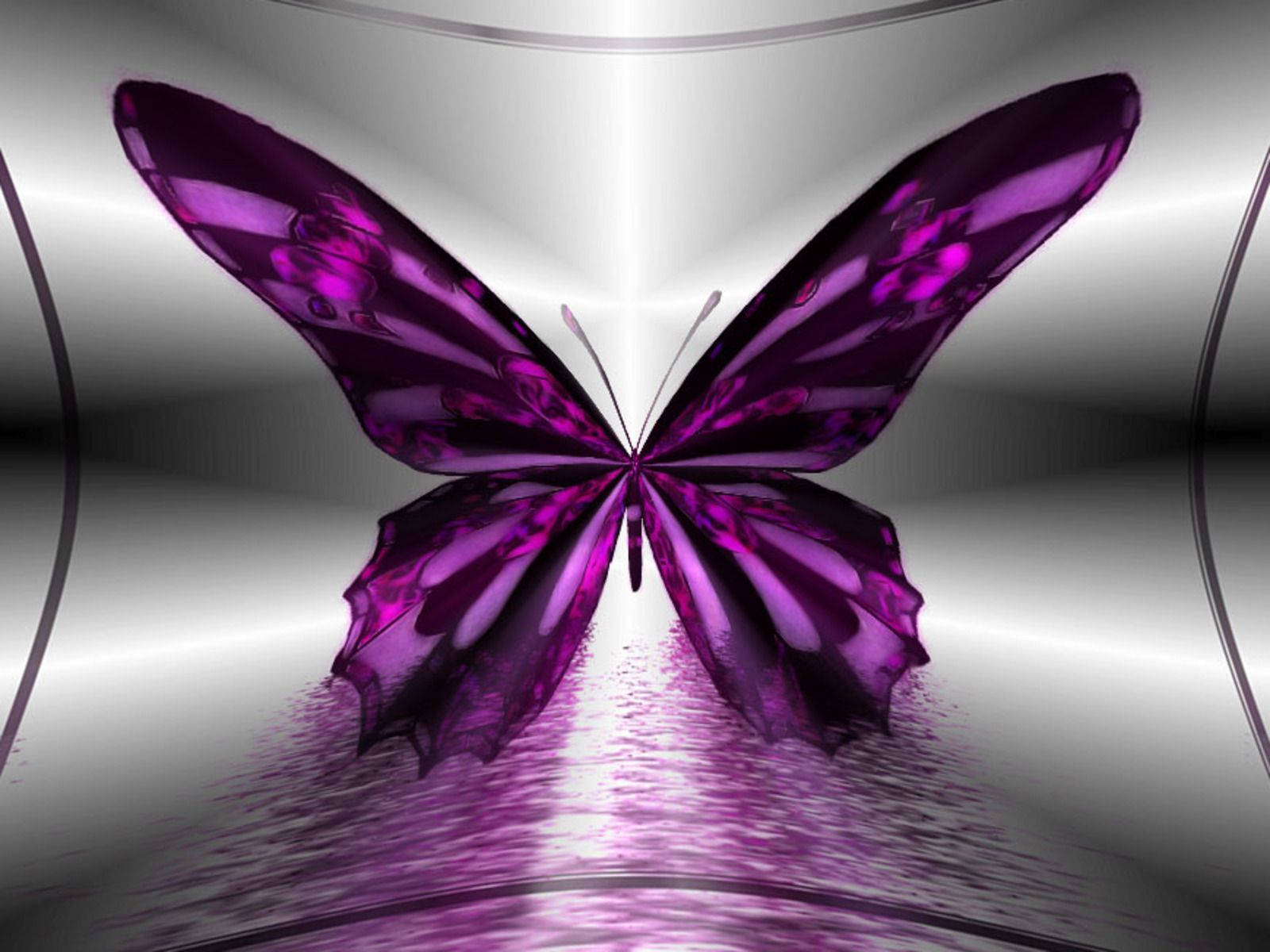 Purple Butterfly 3d Art Wallpaper