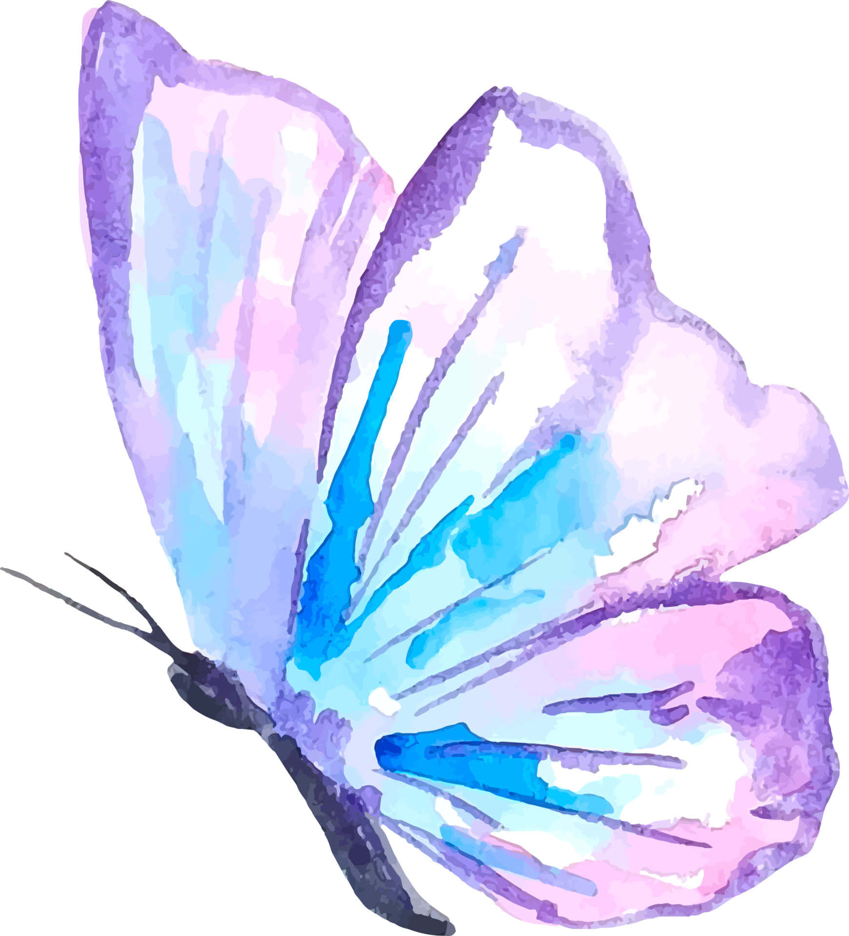 Hintergrundmit Lila Schmetterlingen
