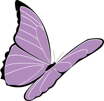 Purple Butterfly Graphic PNG