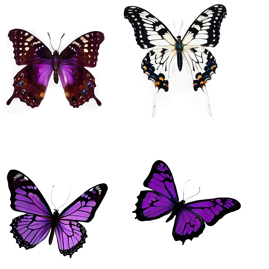 Download Purple Butterfly In Flight Png Ebr68 | Wallpapers.com