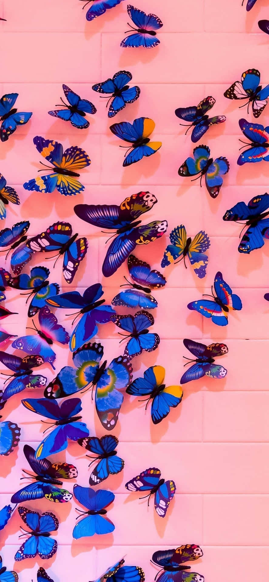 Einemauer Voller Schmetterlinge An Einer Rosafarbenen Wand. Wallpaper