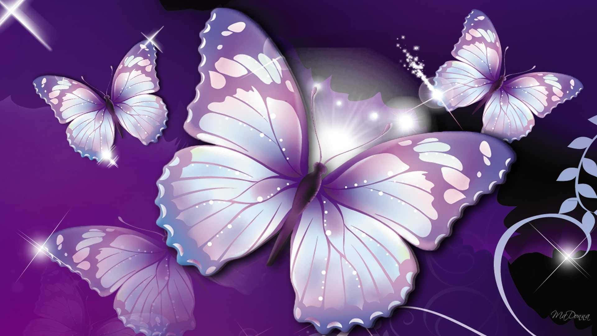 Bringensie Die Schönheit Eines Lila Schmetterlings Auf Ihr Iphone. Wallpaper