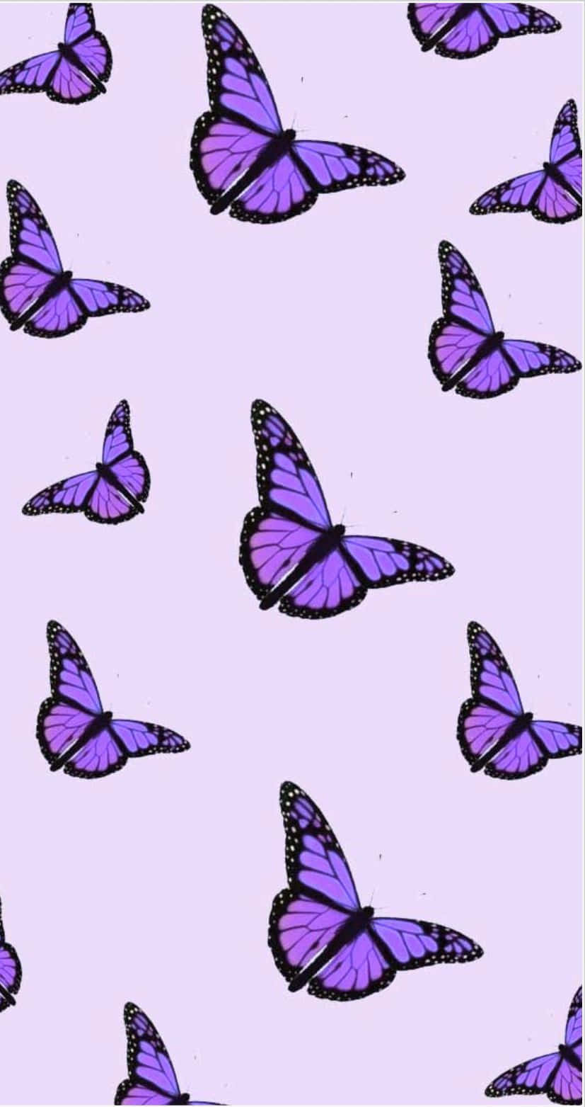 Verlieredich In Der Natur Mit Einem Lila Schmetterling Iphone Hintergrundbild. Wallpaper