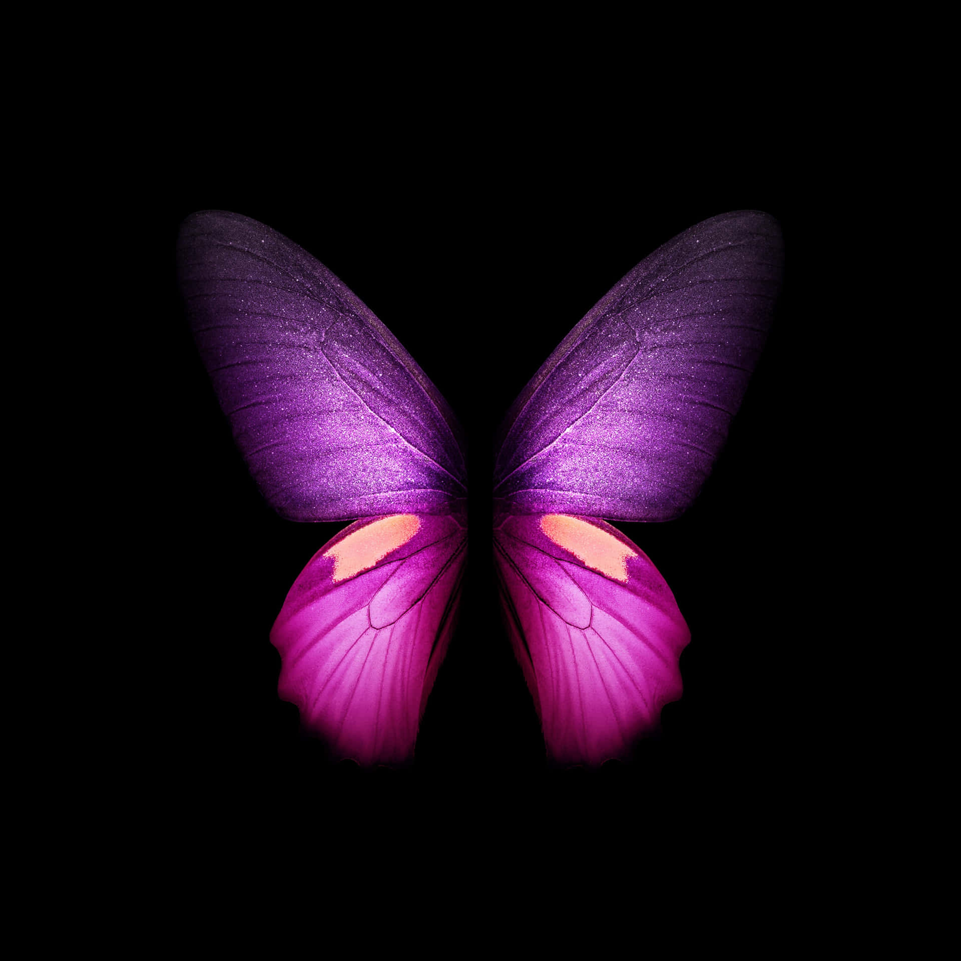 A beautiful purple butterfly adorns this iPhone screen. Wallpaper