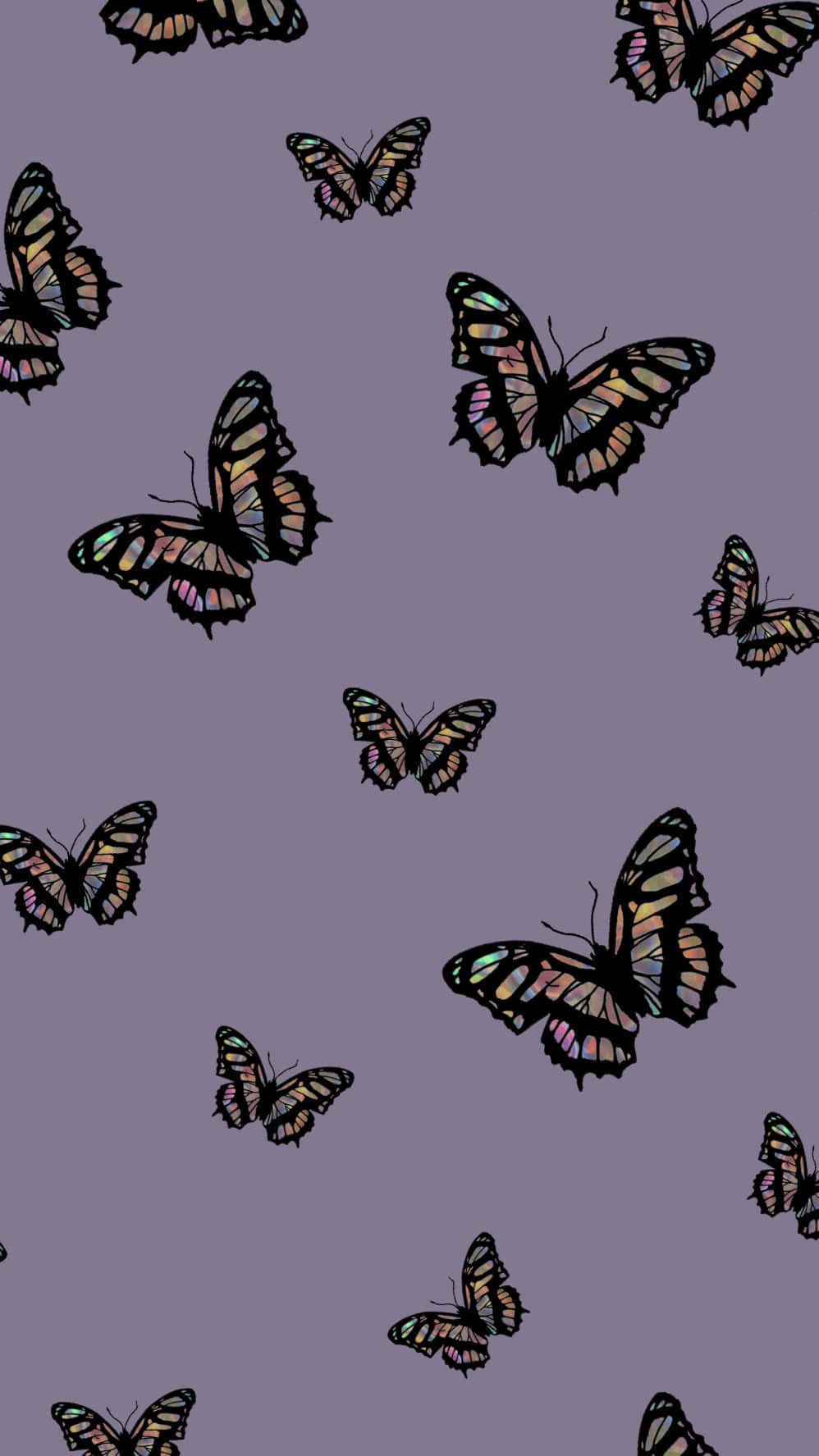 Beautiful Purple Butterfly on iPhone Wallpaper