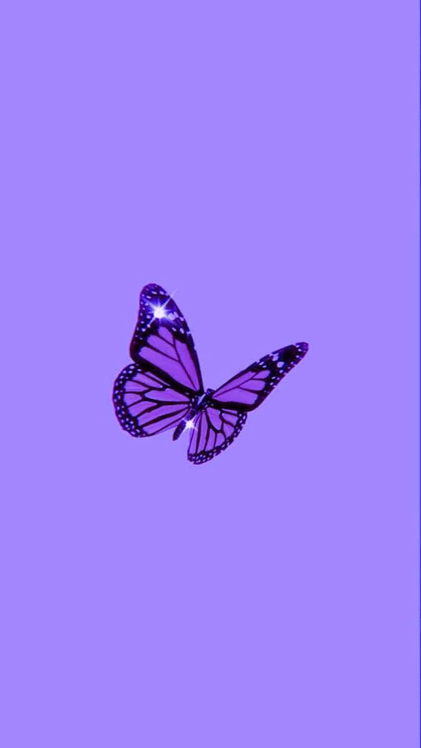 "Feel blue? Let this vibrant purple butterfly brighten your day!" Wallpaper
