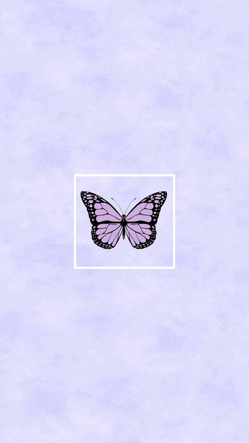 A Butterfly On A Purple Background Wallpaper