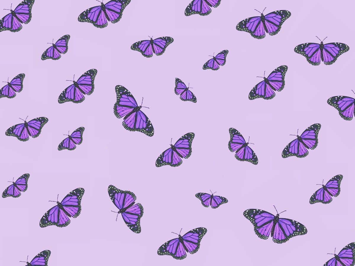 Purple Butterfly Pattern Background Wallpaper