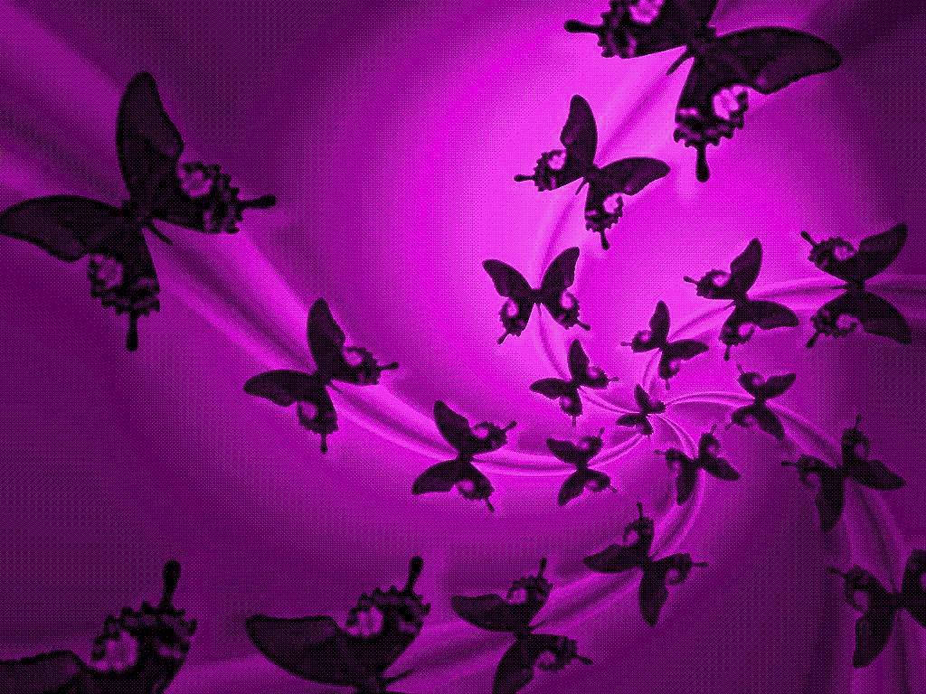 Purple Butterfly Silhouette Wallpaper