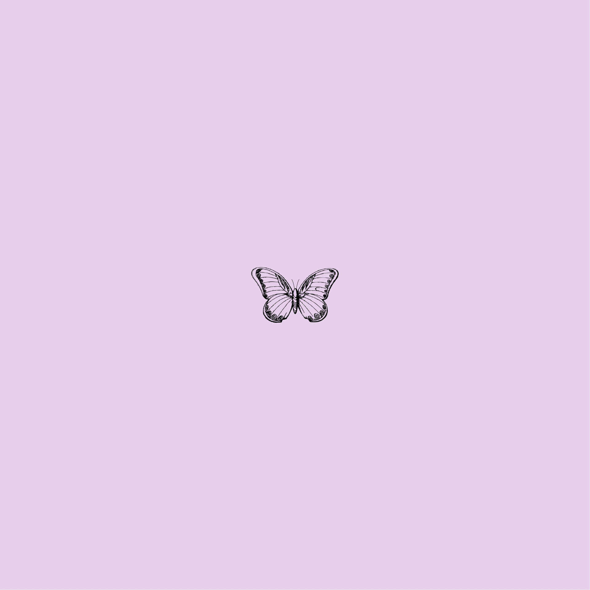 Purple Butterfly Simplicity Wallpaper