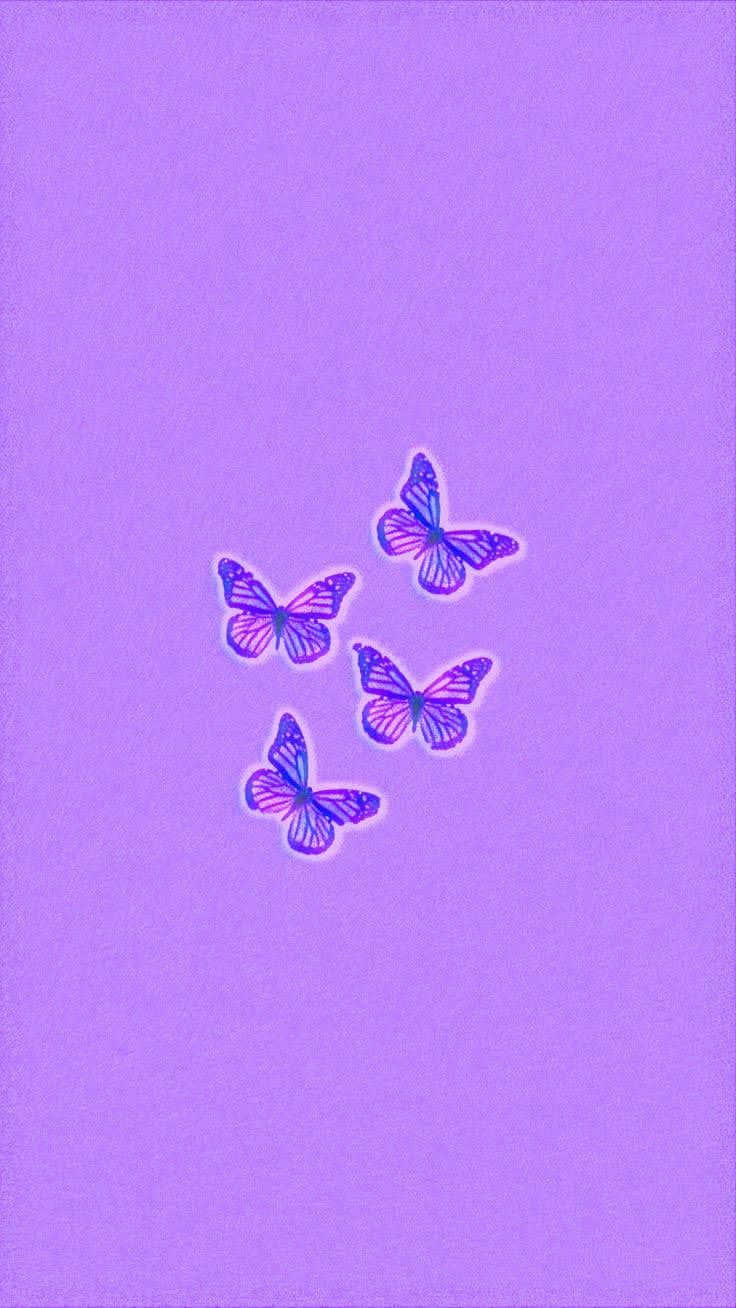 Purple Butterfly Wallpaper Wallpaper