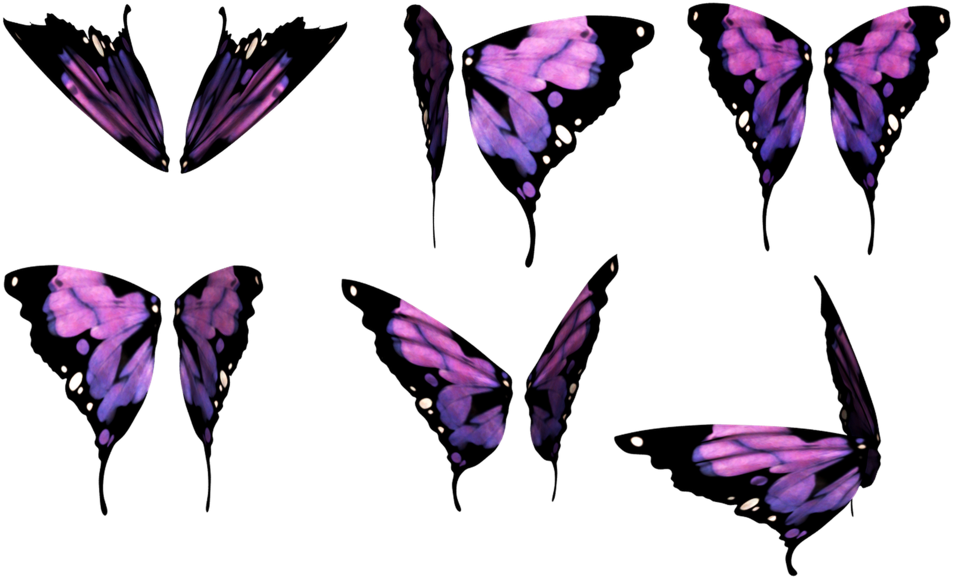 Purple Butterfly Wings Collection.png PNG