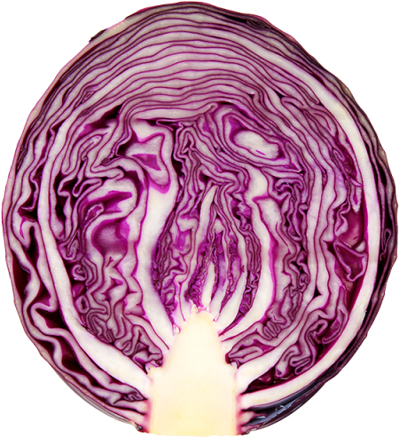 Purple Cabbage Cross Section PNG