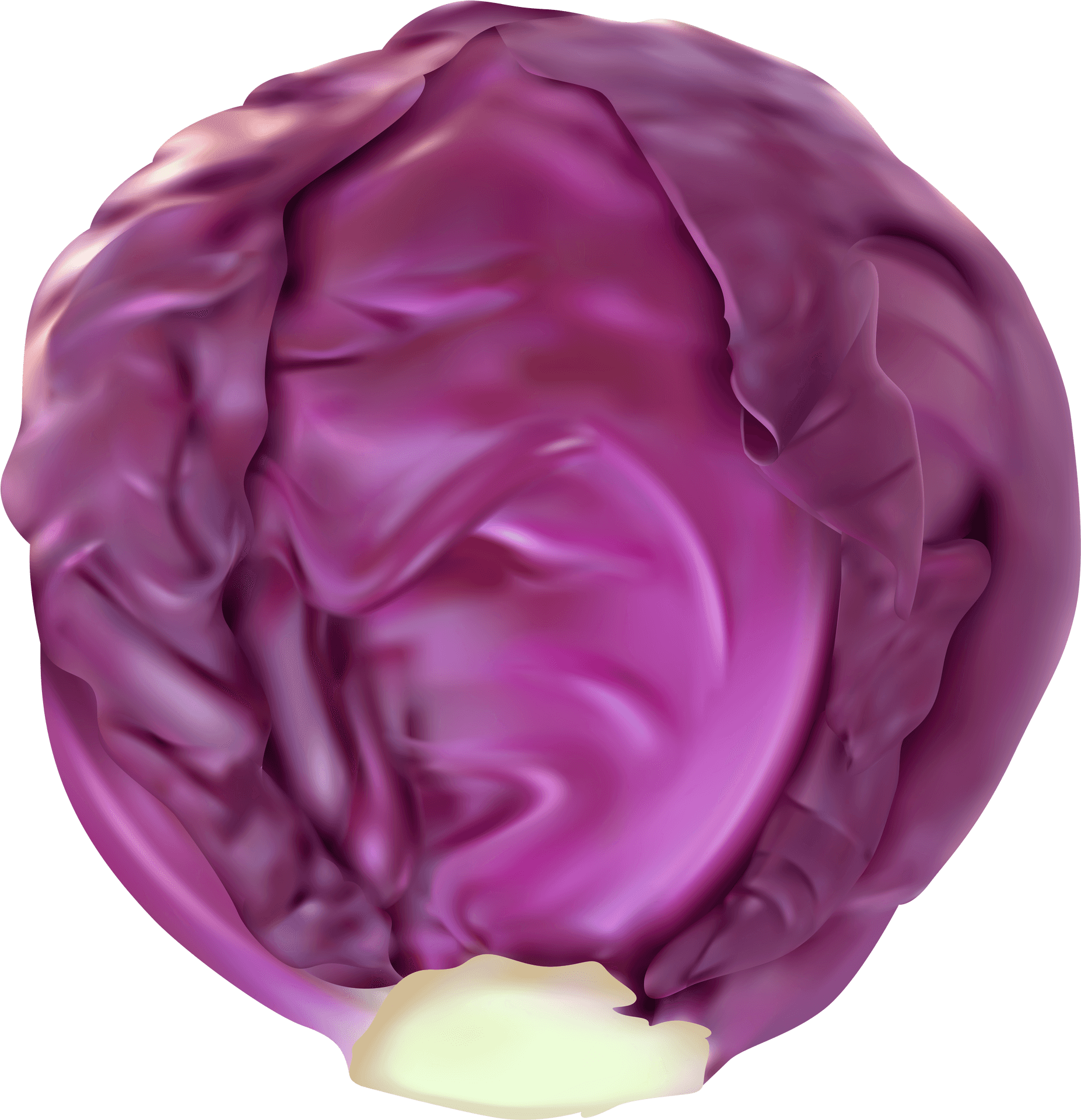 Purple Cabbage Top View PNG