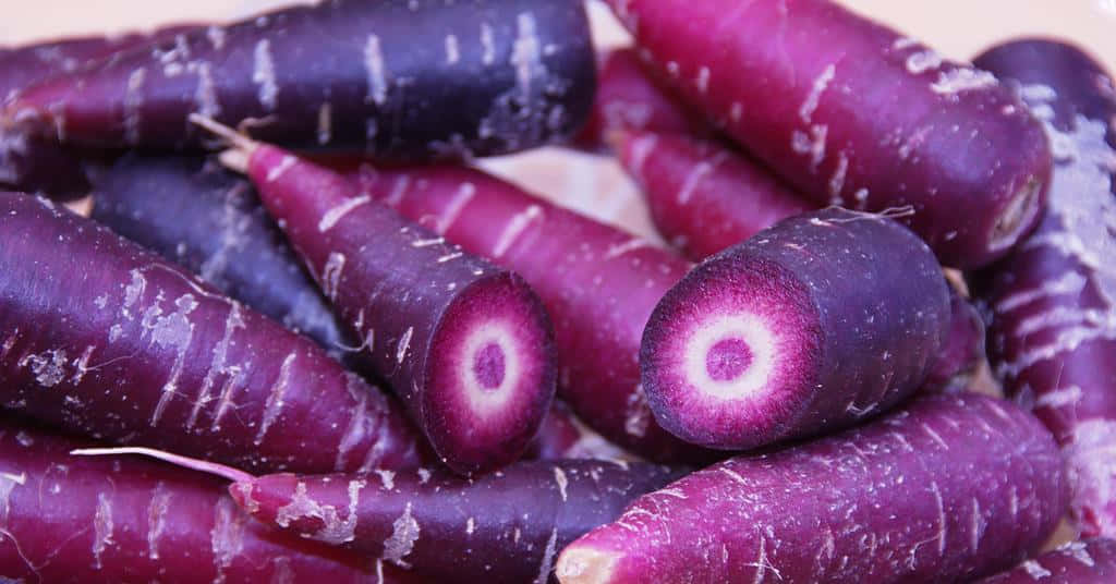 "Unlimited Possibilities: Refresh Your Diet with Purple Carrots!" Wallpaper