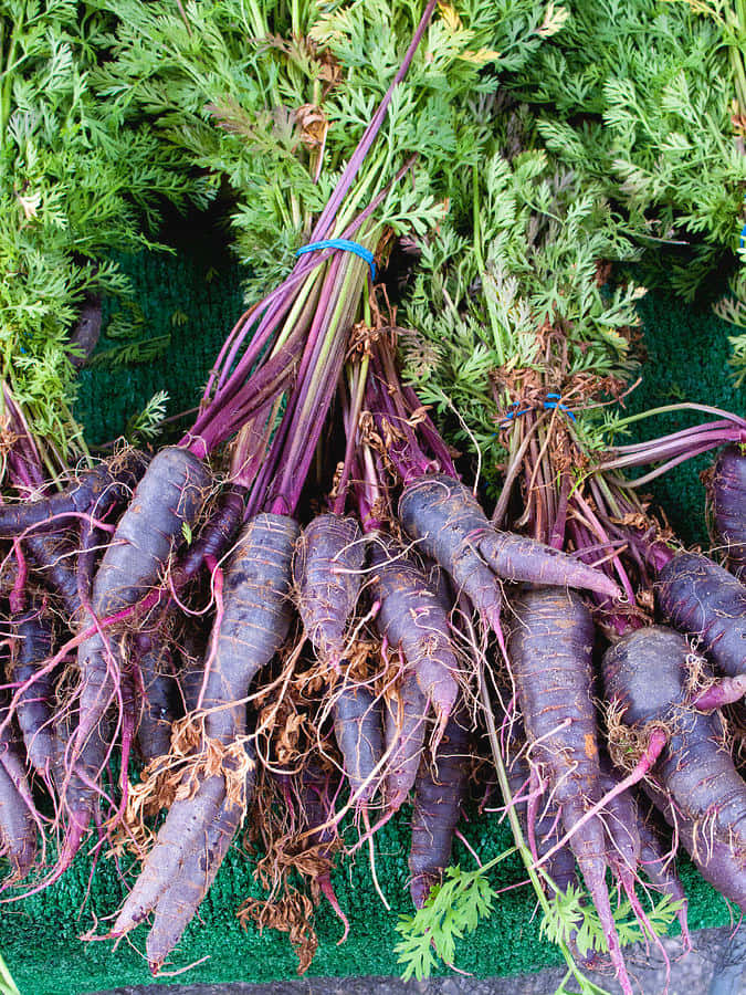Purple Carrot Delights - Top Quality Nutritional Snack! Wallpaper