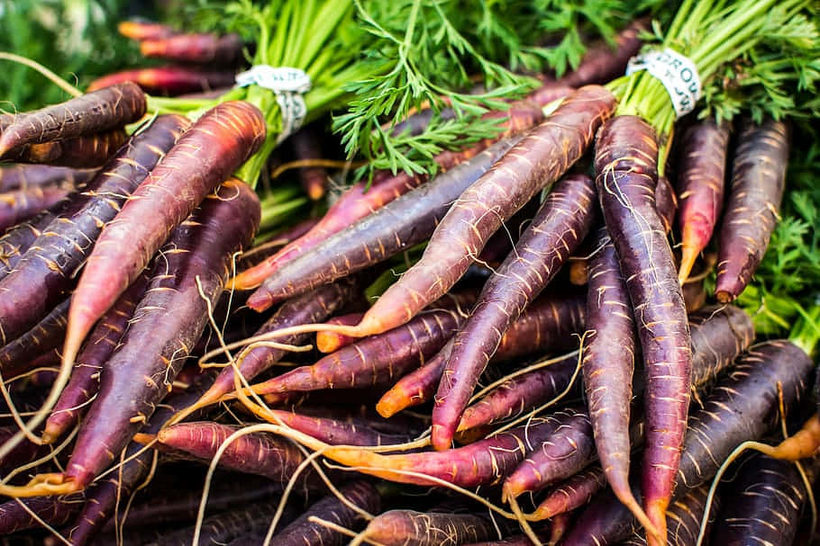 Juicy, Fresh Purple Carrots Wallpaper