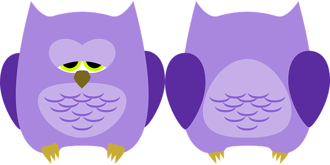 Purple Cartoon Owls Illustration PNG
